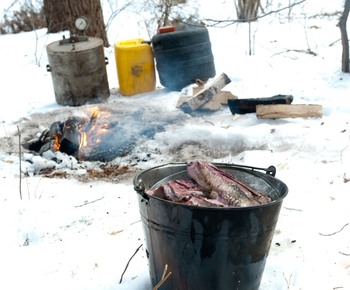 Samagono gamintojai gamtai padaro daugiau žalos nei nelegaliai kertamos eglutės